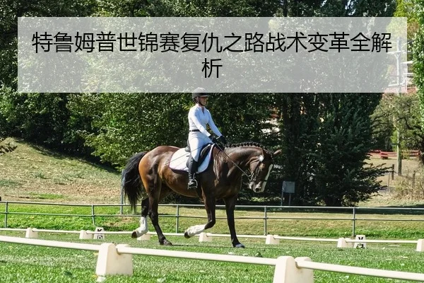 特鲁姆普世锦赛复仇之路战术变革全解析